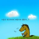다듬이생활한복 | 지방흡입주사 - 팔뚝 (종합)