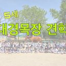 대경목장 네이버블로그