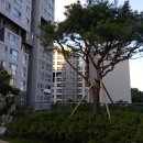 세곡공인중개사사무소 이미지