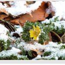 냉천공원 이미지