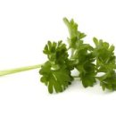 고수 카카오 검색결과