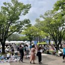 빅그라운드 이미지