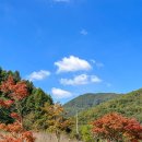 두채풀빌라 펜션 이미지