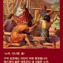노아 이미지