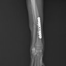 태백동물병원 이미지