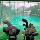 동구골프클럽 이미지