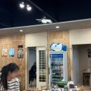 박영철 사시미 이미지