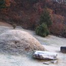 천락 Daum카페