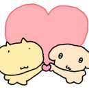 백양세탁 이미지