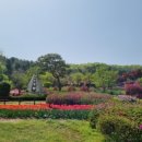 태화산파크 이미지