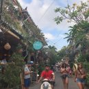 세풍농장 이미지