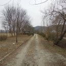 비봉체육공원 야구장 이미지