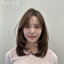 봉천동미용실 로아살롱 가격 위치 영업시간