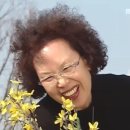 젬무용아카데미학원
