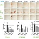 ㈜유비케어 이미지
