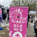 은빛근린공원 | 양채천 근린공원 벚꽃등불축제 후기