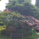 가좌근린공원(가재울사거리앞) 이미지