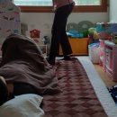 밀라스킨락(자연치유본가) | 꼬리뼈통증 발바닥통증 목통증 척추측만증 자연치유본가 산전산후출장전문업체 산후마사지 후기