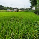 신동규공인중개사사무소 이미지