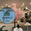 꽃피는집 이미지