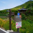 요룡농장 이미지