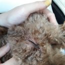 안락고려약국 이미지