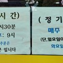 꽃바위 동해반점 이미지