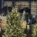 (주)마켓월드 | 잠실 롯데월드 크리스마스마켓 네이버예약하고 방문한 후기