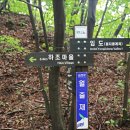 백운산둘레길9코스 네이버블로그