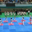 석사 블랙벨트 태권도장 이미지