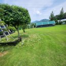 랩도그빌 이미지