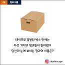 9번청과 이미지