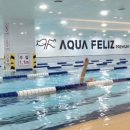 아쿠아펠리스 수영장 이미지