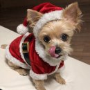 베프컴퍼니 | 내게 1월1일은 없다고 32일이라고 33일이라고 12월 일기