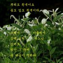 희로 이미지