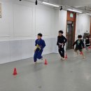 김포골든라이온주짓수사우점