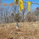 진부농협주유소 이미지