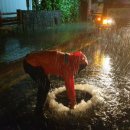 제주도 고비 이미지