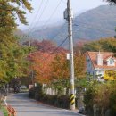 사나사주차장 이미지