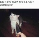 쑈유족발 네이버블로그