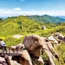 산 카카오 검색결과