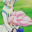 푸치하우스 이미지