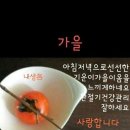 백가내자연 티스토리