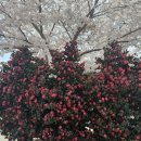 구조라로 2길 이미지