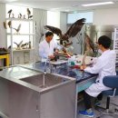 국립문화재연구소 이미지