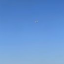 코브나인 이미지