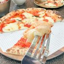 소나무정원 이미지