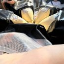 양산신-5002 | 9월 개강날 에버랜드 후기 | 카드우대결제 시내버스이용 내부식당 스마트줄서기(T익스프레스 판다월드 등)