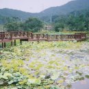 해여림식물원 이미지