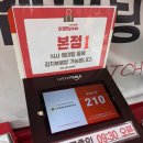 무선중앙로 L | 부산 필수코스 이재모피자 본점 치즈크러스트(햄반 치즈반) 평일 웨이팅, 맛 솔직후기